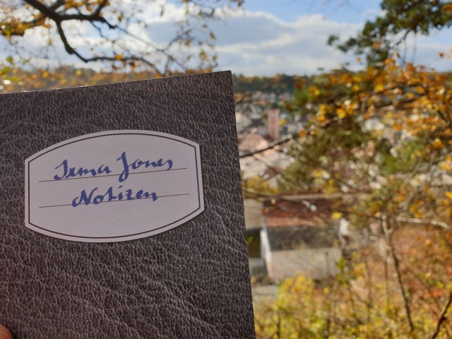 Visit Neuburg Digitale Schnitzeljagd mit Detektivin Irma Jones in Eichstätt