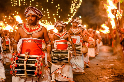 Kandy Esala Perahera Tour with Hotel Pickup From Colombo