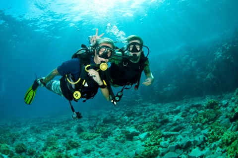 Honolulu: aventure de plongée sous-marine pour débutant