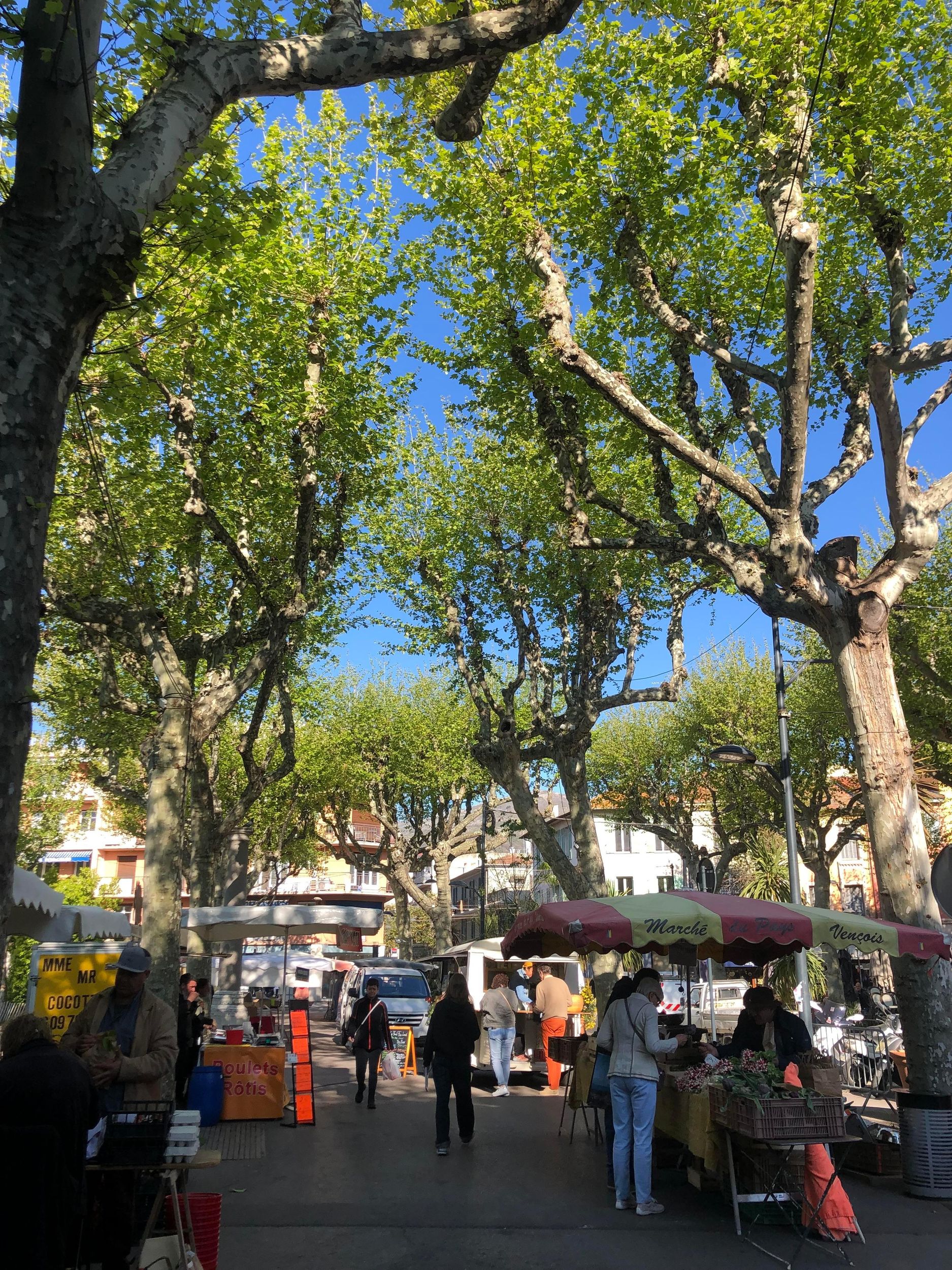 Kunst & Steine: Kultureller Rundgang durch Saint-Paul-de-Vence