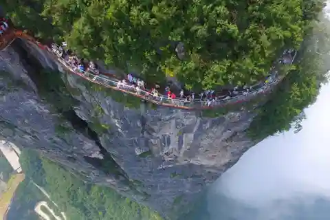 Zhangjiajie:Discover Tianmen Mountain Wonders&Fox Fairy Show