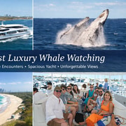 Gold Coast Whale Escape - Luxury Whale Watching Cruise