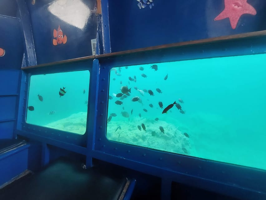 Vanuatu Watersports Port Vila Glass Bottom Boat Semi Sub GetYourGuide