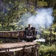 Steam Train and Penguin Parade Chinese-Speaking Day Tour
