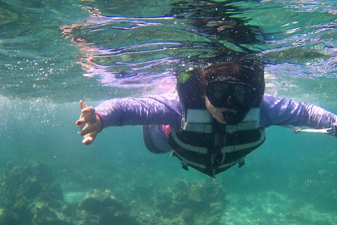 Phuket : Phi Phi Monkey Beach with Snorkeling & Lunch