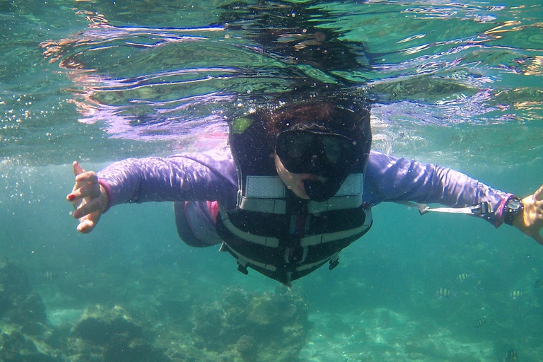 Phuket : Phi Phi Monkey Beach with Snorkeling & Lunch