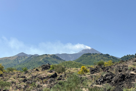 Catania: Etna Tour with licensed Tour Guide pickup & drop-of