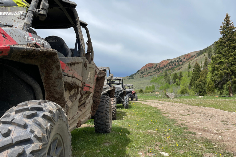 Jackson Hole: Private Curtis Canyon UTV Adventure Jackson Hole: Curtis Canyon UTV Adventure