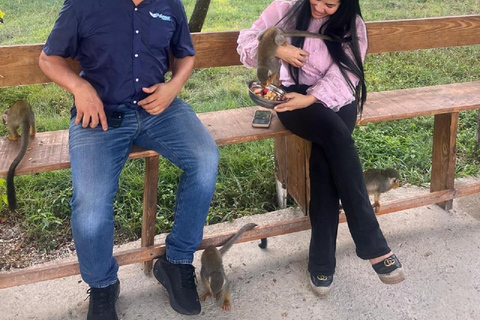 Puerto Plata: Watching Wild Primates and Botanical Hiking