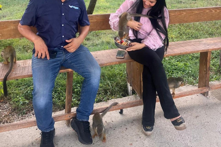 Puerto Plata: Watching Wild Primates and Botanical Hiking