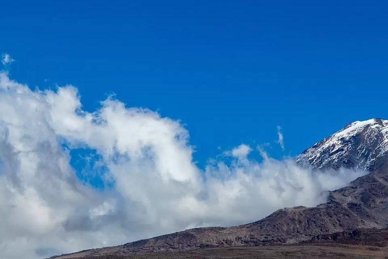 BEST 1-DAY HIKE KILIMANJARO CLIMBING MACHAME ROUTE ONE DAY TO VISIT MT. KILIMANJARO VIA MACHAME ROUTE