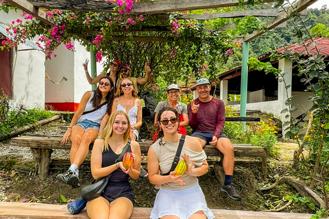 Minca: Sunrise Tour at the Viewpoint with a Local Guide, Cocoa, and a Waterfall Departure from Minca: Sunrise Tour at the Viewpoint, Cocoa, and Waterfall