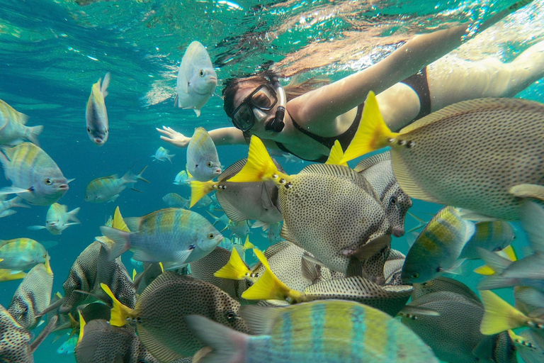 Los Cabos Arch &amp; Lover&#039;s Beach Tour + Schnorcheltour