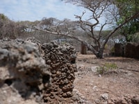 Privado Dhow Cruise Lamu (Daytrip), Ruinas Takwa - Housity