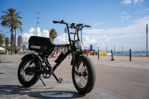 Malaga: Noleggio di Fatbike elettriche fino a 8 ore