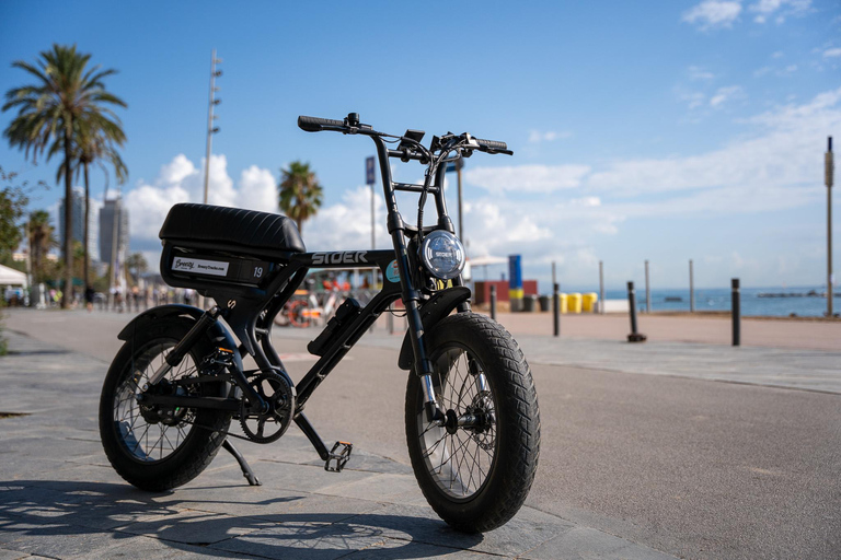Malaga: Noleggio di Fatbike elettriche fino a 8 ore