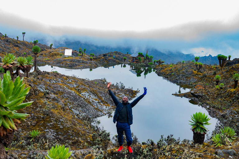 4 Days Queen Elizabeth Park Safari & Ruwenzori Mountain View