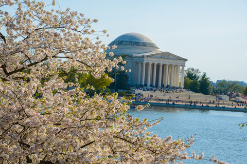 DC: rundtur med hop-on hop-off-buss och sightseeing kryssning med vattentaxiDC: Hop-on Hop-off busstur och sightseeing med vattentaxi