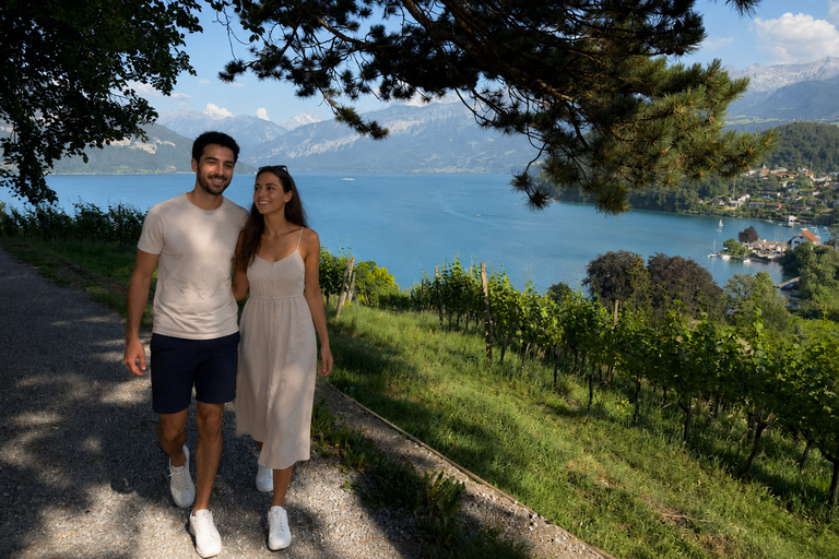 Interlaken: Wine & Cheese Tasting at Spiez Castle Vineyards