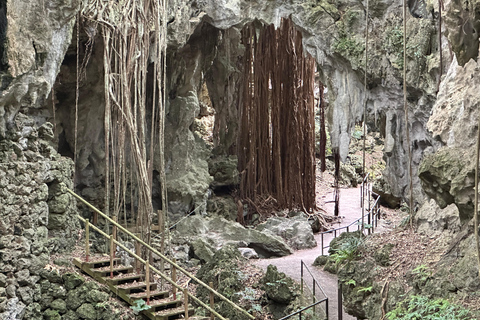 Okinawa Driving Tour with Expert Local Guide