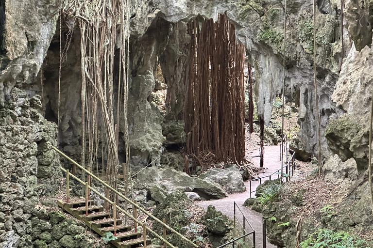 Okinawa Driving Tour with Expert Local Guide