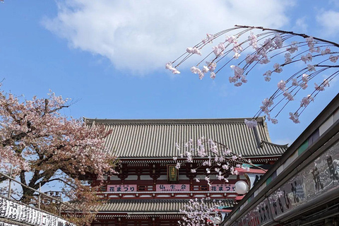 Tokyo Full and Half Day Sightseeing Tour with Mount Fuji Tokyo: 4 Hours Private City Sightseeing Tour with Tour Guide