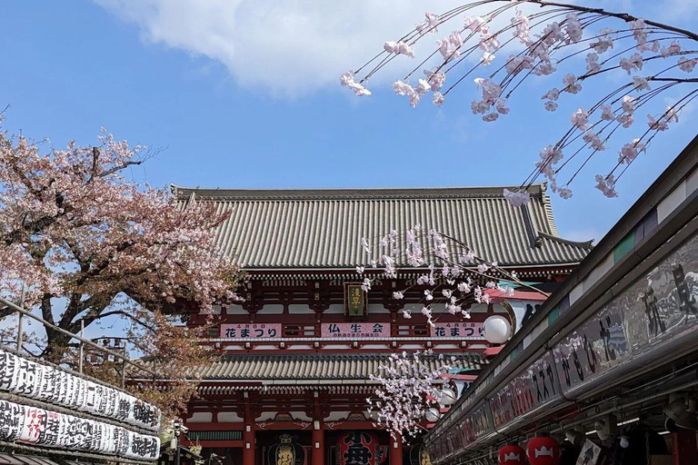 Tokyo Full and Half Day Sightseeing Tour with Mount Fuji Tokyo: 4 Hours Private City Sightseeing Tour with Tour Guide