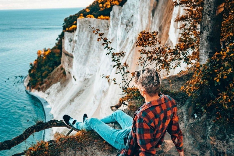 From Copenhagen: Møns Klint & Forest Tower Nature Day Trip