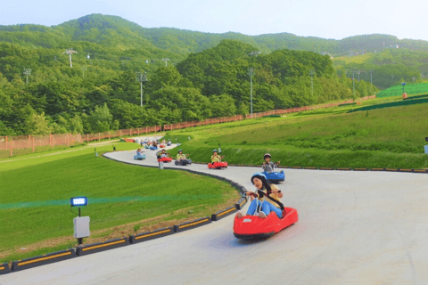 Seúl: Hwadamsup, luge y aldea folclórica coreana. Excursión de un día.Excursión en grupo, encuentro en Hongdae (Hongik Uni)