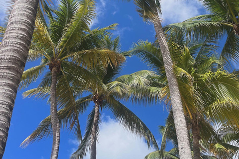 Excursión de un día a la playa de Doctors Cave, Margaritaville y de comprasDesde Falmouth/ Trelawny