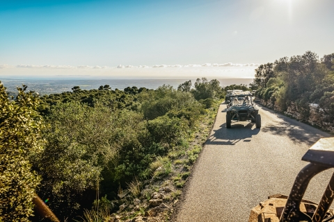 Palma de Mallorca: Off/On Road Buggy Tour with 2 or 4 Seater 4-Seater Buggy