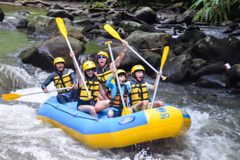 Ubud: Avventura in zip-line, rafting e tour delle terrazze di risoTour con zip-line e terrazze di riso (senza rafting)