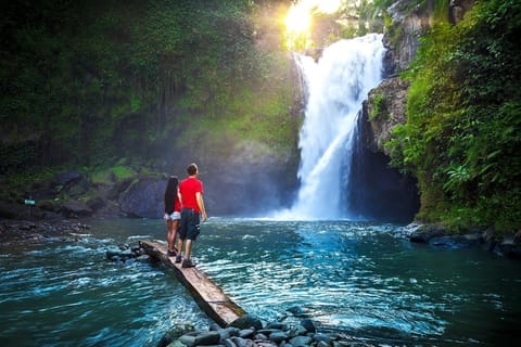 Ubud: Waterfall, Monkey Forest, Rice Terrace and Temple