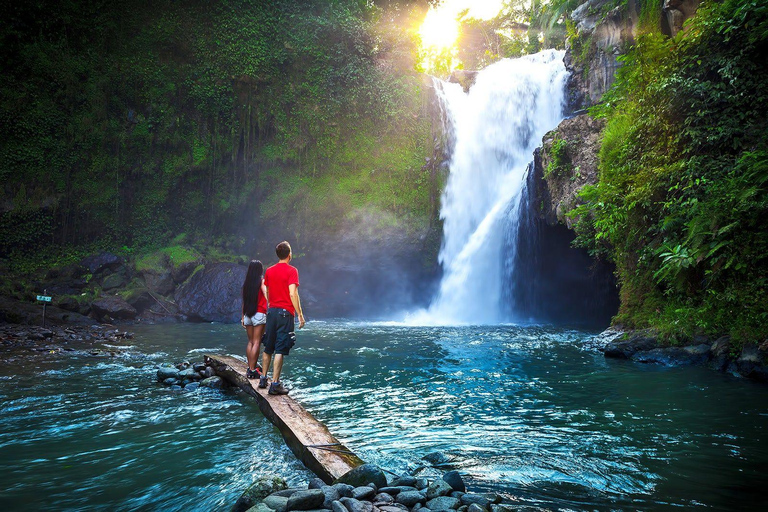 Ubud : Waterfall, Monkey Forest, Rice Terrace and Temple Private Tour With Entry Tickets