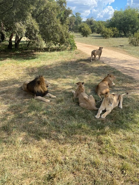 メディア コラージュ