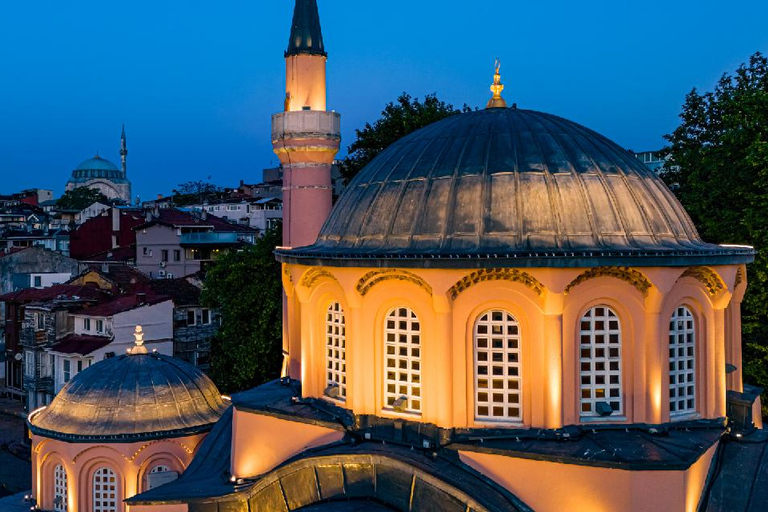 Istanbul: Chora Moskee toegangsbewijs met audiogids