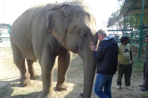 Zelfde dag tour naar Tajmahal met SOS wildlife olifant & beer