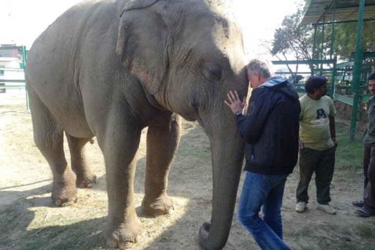 Tagestour zum Tajmahal mit SOS wildlife Elefant & Bär