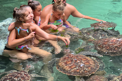 Mnemba eiland &amp; zwemmen met schildpadden, in nungwi