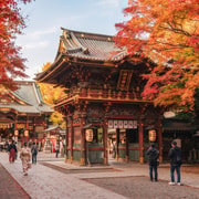 Tokyo Night Walk: Kanda Shrine, Akihabara Neon & Beer Tokyo Night Walk: Kanda Shrine, Akihabara Neon & Beer