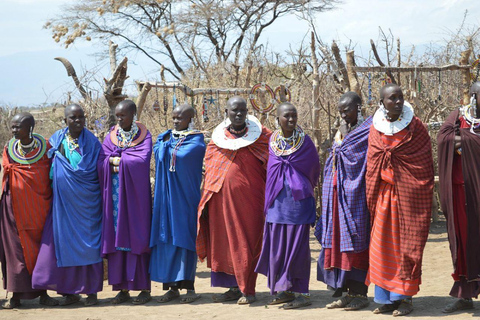 EXCURSION D&#039;UNE JOURNÉE DANS UN VILLAGE MASAI