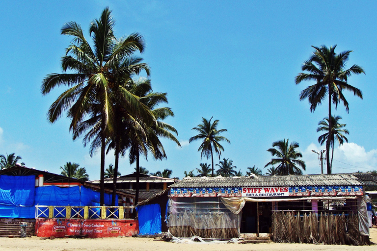 Da Baga/Calangute: tour di un&#039;intera giornata nel sud di Goa