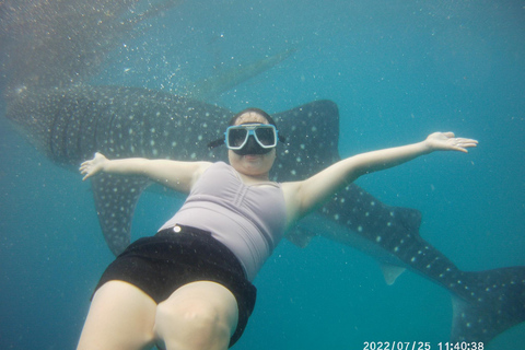 Cebu: Oslob Whale Sharks, Kawasan Fall & Moalboal Sardines Join/Shared Tour Option