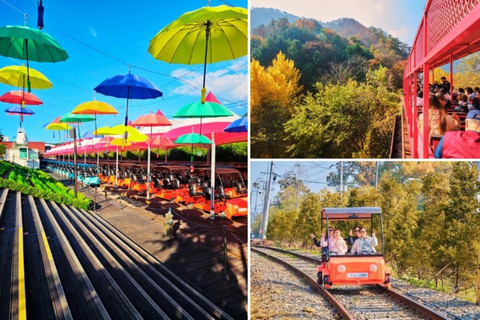 Alpaca World, Nami Island, and Rail Bike Tour