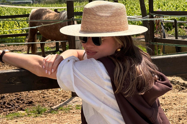 El Cotillo: Sunset Cliff Horseback Ride with Drink