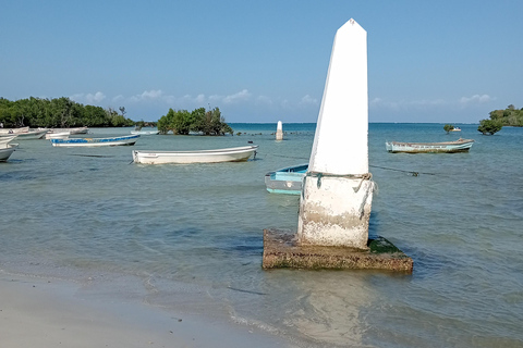 Mtwapa : Journée d&#039;excursion dans les ruines de Jumba et le village de brousse et dîner dans le village.