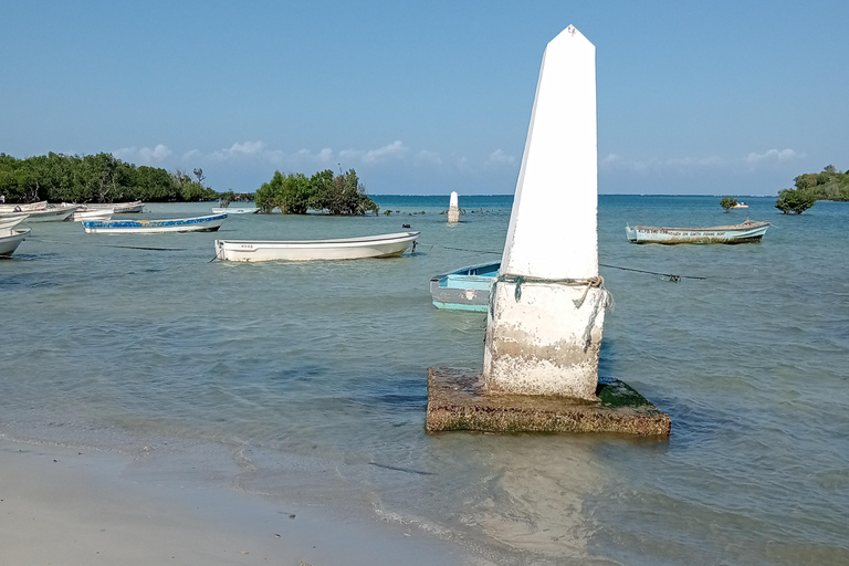 Mtwapa: Jumba-Ruins &amp; BushVillage dagtour en dorpsdiner.