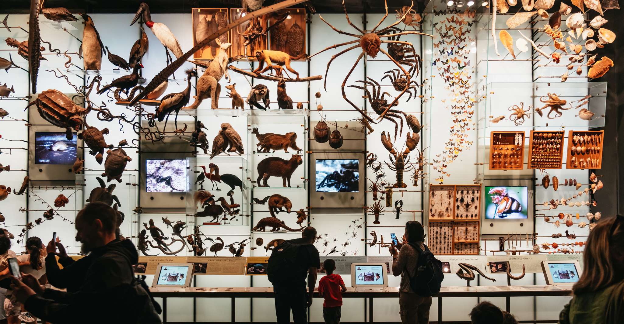 New York City, American Museum of Natural History Ticket - Housity