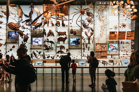 New York City: American Museum of Natural History TicketAllgemeiner Eintritt