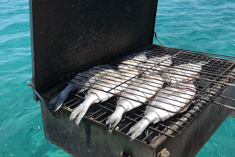 Rhodes : Excursion en bateau de pêche (petit groupe, repas et boissons inclus)Billets de bateau + transfert de Lachania, Plimmiri